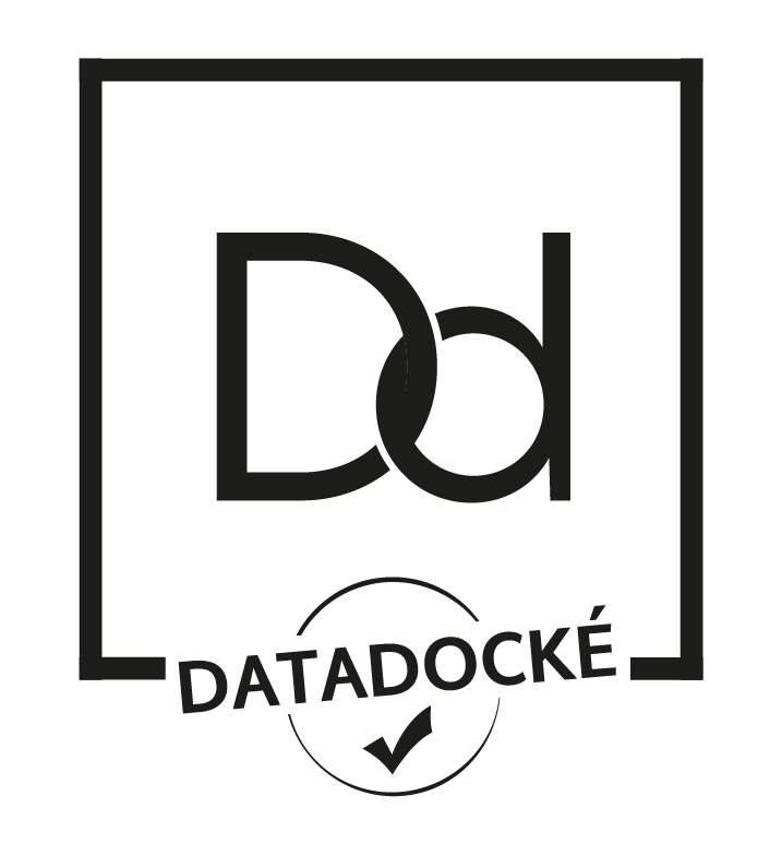DataDock logo